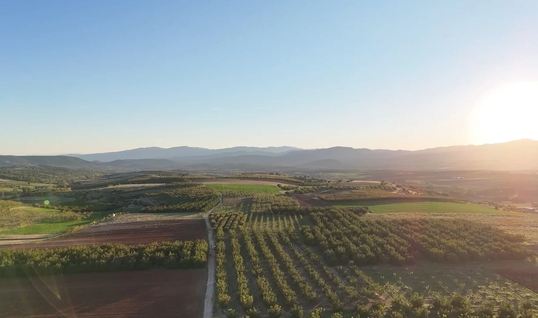 Ktimata Olympou fields